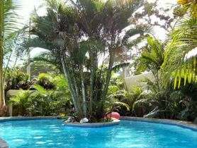 Hotel Club Bonita Pool